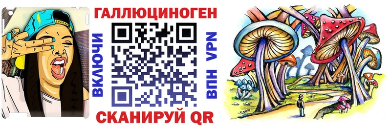 Псилоцибиновые грибы MAGIC MUSHROOMS  купить наркотики сайты  Алейск 