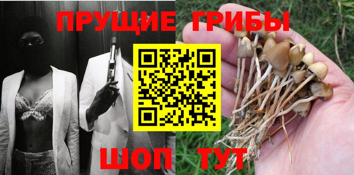 Псилоцибиновые грибы мицелий Алейск