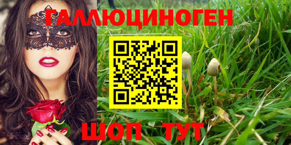 Псилоцибиновые грибы Psilocybine cubensis  Галлюциногенные грибы ЛСД  Вход с VPN  Алейск 
